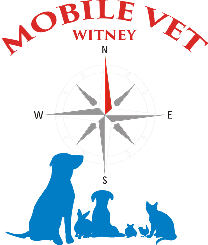 Witney Mobile Veterinary Services Limited 