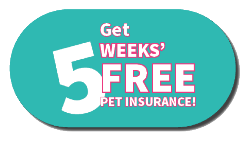 5 Weeks Free Pet Insurance